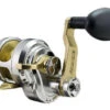 Accurate Boss Fury 2-Speed Left Hand Reels -Deals The Salt Reel Store accurate boss fury 2 speed left hand reels 22427.1651148232