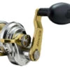 Accurate Fury Single Speed Left Hand Reels -Deals The Salt Reel Store accurate fury single speed l h reels 70612.1651148480