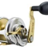 Accurate FX-600LGS Fury Single Speed L/H Reel -Deals The Salt Reel Store accurate fx 600lgs fury single speed l h reel 33015.1651148505