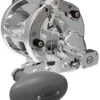 Avet HXW 5/2 Two-Speed Lever Drag Casting Reels Silver -Deals The Salt Reel Store avet hxw 52 two speed lever drag casting reels ave 0096 2 02496.1650775774.386.513
