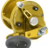 Avet JX 4.6 MC Single Speed Lever Drag Casting Reel Gold -Deals The Salt Reel Store avet jx 46 mc single speed lever drag casting reel ave 0110 1 25580.1650775789.386.513