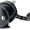 Avet JX 6/3 MC RAPTOR RH-BK Two-Speed Reel - Black - Right-Hand -Deals The Salt Reel Store avet jx 6 3 mc raptor rh bk reel 01035.1651377122.386.513