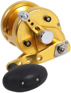 Avet MXJ 5.8 G2 1 Speed Reel - Gold (No Glide Plate)