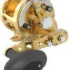 Avet MXJ G2 6/4 2-Speed Reel Gold -Deals The Salt Reel Store avet mxj g2 6 4 2 speed reel ave 0528 1 42578.1650991869.386.513