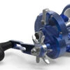 Avet MXL 5.8 MC Star Drag Reel - Blue/Silver -Deals The Salt Reel Store avet mxl 5 8 mc star drag reel blue silver 94960.1651267277.386.513