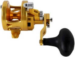 Avet SXJ 6/4 G2 NGP 2-Speed Reel - Gold (No Glide Plate) 7 Avet SXJ 6/4 G2 NGP 2-Speed Reel - Gold (No Glide Plate) -Deals The Salt Reel Store avet sxj 6 4 g2 rh gd ngp reel 63540.1675796443