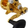 Avet SXJ 6/4 G2 NGP 2-Speed Reel - Gold (No Glide Plate) -Deals The Salt Reel Store avet sxj 6 4 g2 rh gd ngp reel 95519.1675796442