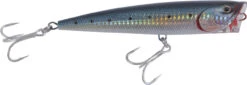 Daiwa Saltiga Dorado Popper Lures