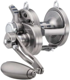 Daiwa Saltiga LD Lever Drag Conventional Reels -Deals The Salt Reel Store daiwa saltiga ld lever drag conventional reels 55579.1651356965
