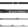 Jigging World Black Hawk Casting Rods -Deals The Salt Reel Store jigging world black hawk casting rods 56849.1651245810