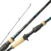 Okuma DTR Custom Inshore Casting Rods -Deals The Salt Reel Store okuma dtr inshore casting rods 14120.1651358227