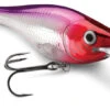 Rapala Shad Rap Rattlin Suspending Lures -Deals The Salt Reel Store rapala shad rap rattlin suspending lures 26599.1651153742