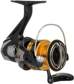 Shimano Sahara FJ Spinning Reels -Deals The Salt Reel Store shimano sahara fj spinning reels 63926.1651444120