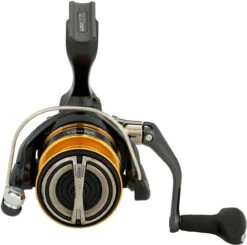 Shimano Sahara FJ Spinning Reels -Deals The Salt Reel Store shimano sahara fj spinning reels 82624.1651444120