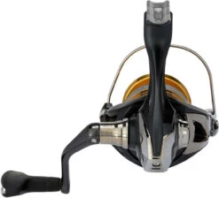 Shimano Sahara FJ Spinning Reels -Deals The Salt Reel Store shimano sahara fj spinning reels 83307.1651444121