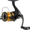 Shimano Sahara FJ Spinning Reels -Deals The Salt Reel Store shimano sahara fj spinning reels 95048.1651444119