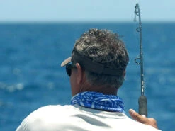 Shimano Terez Spinning Rods -Deals The Salt Reel Store shimano terez spinning fishing rods 44313.1651006832