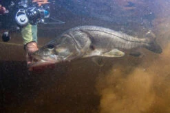 Van Staal VR Spinning Reels -Deals The Salt Reel Store van staal vr series spinning reels 55010.1651333665