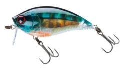 Deals The Salt Reel Store 35 Yo-Zuri R1146 3DB Wake Bait Lure